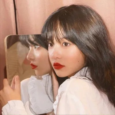 安妮·法兰克的最后七个月